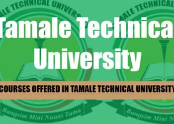 A picture showing the List Of Courses Offered In Tamale Technical University